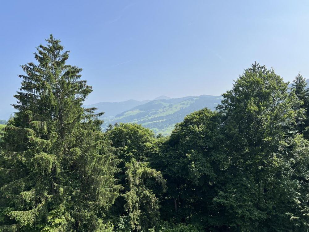 Modern wohnen - mitten in der Natur - Aussicht