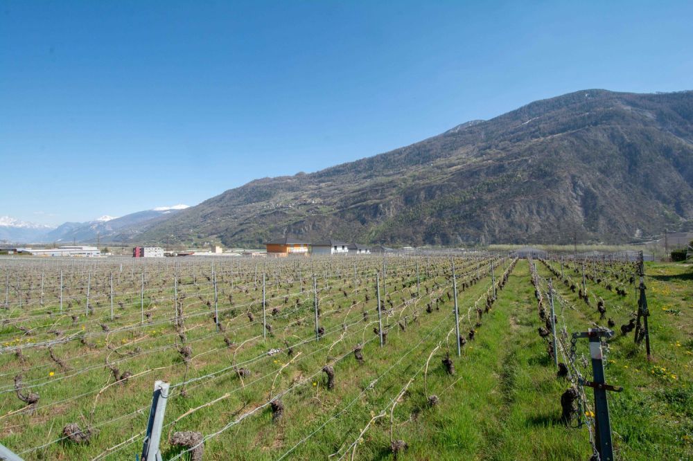 Maison contemporaine de 4.5 pièces - St-Pierre-de-Clages -  Bild 4