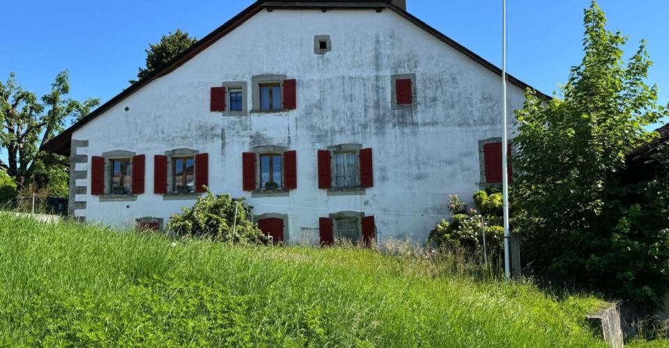 Appartement de 3.5 pièces au 2ème étage Lot n°6 - Immeuble résidentiel 3.5 pièces - image - 9