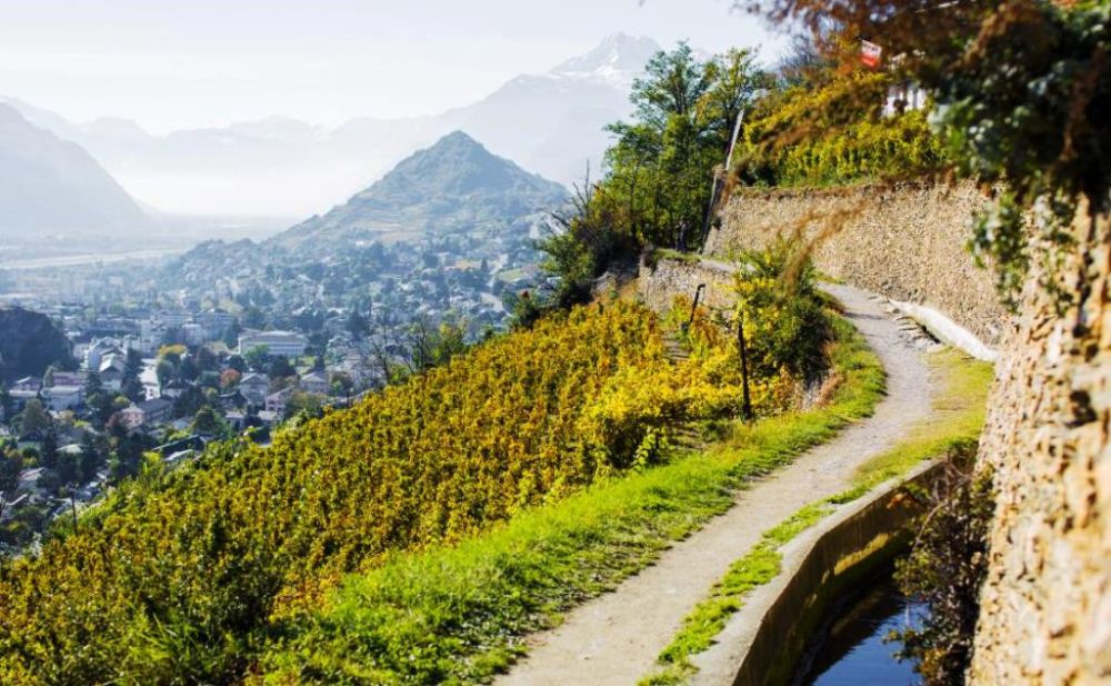 MAISON VILLAGEOISE ÉCOLOGIQUE, JARDIN, CAVE, PARKING, EN COURS DE CONSTRUCTION - Bild 11