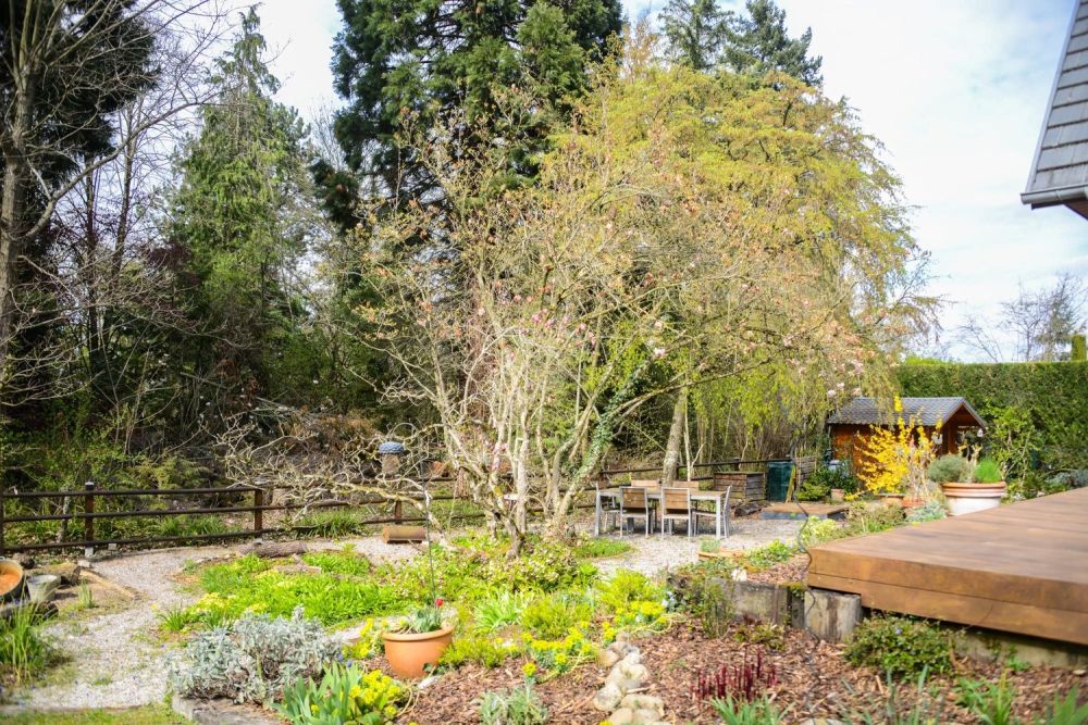 EXKLUSIVES EINFAMILIENHAUS AM WALDRAND – RUHE, NATUR & NÄHE ZU BASEL -  Bild 10