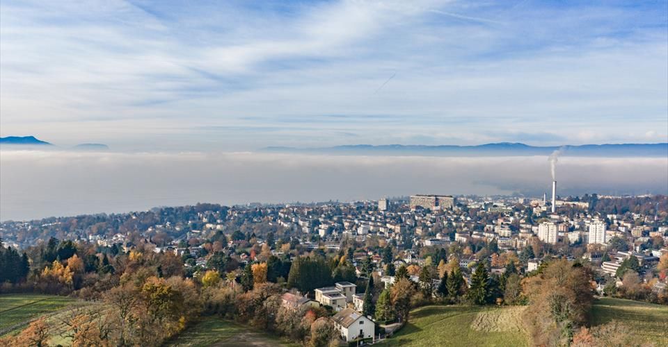 Chailly : villas neuves haut de gamme, disponibles immédiatement - Maison contiguë 6.5 pièces - image - 9