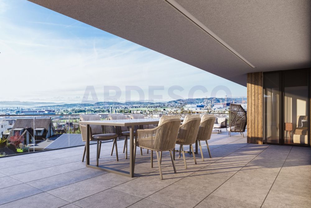 Weitblick Egerkingen - exklusives Wohnen mit Blick auf die Alpen! - Überdachter Sitzplatz zum Essen und Geniessen