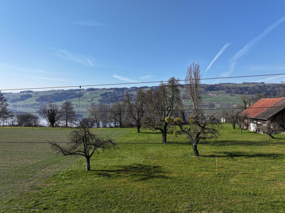 Unverwechselbar individuell: «Turmfalke» am Baldeggersee, Gelfingen -  Bild 4