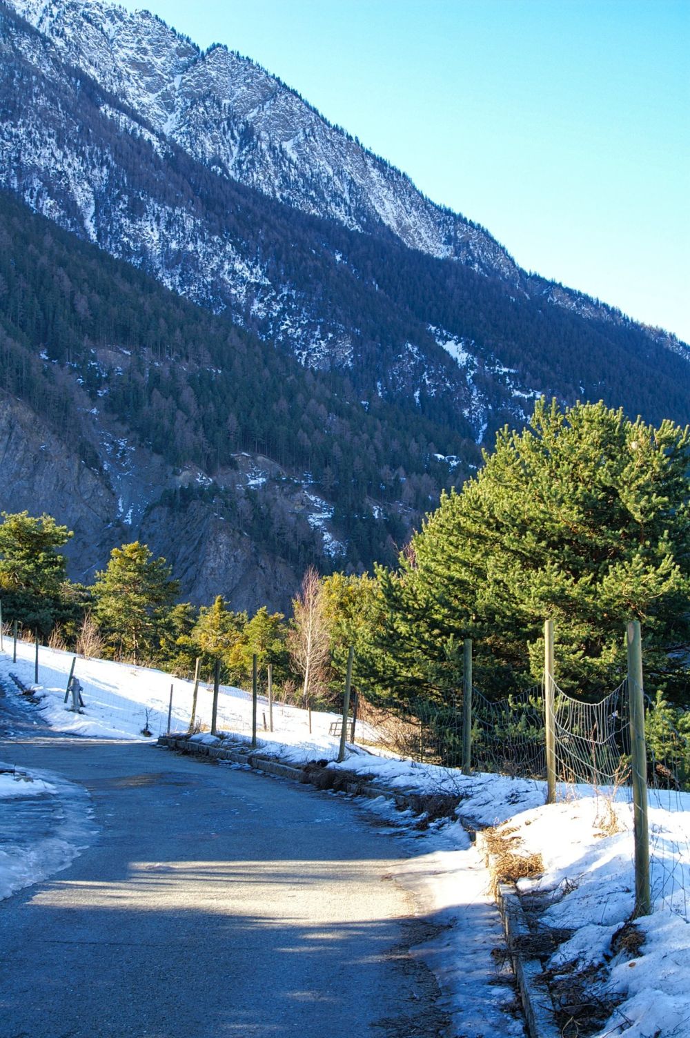 Fantastisches Bauland in ruhiger und unverbaubarer Lage -  Bild 9