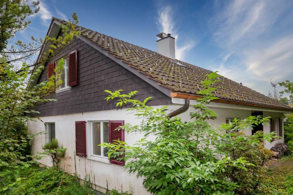 Mit viel Potenzial! - Bild 3