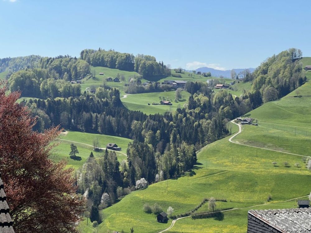 Arbeiten mit Weitblick - 5½-Zimmer-Wohnung A3.1 -  Bild 3