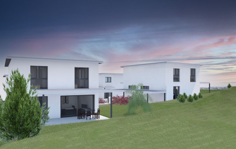 Modernes Einfamilienhaus an der Ribimatt in Wolfwil – Neubau 2027 -  Bild 1