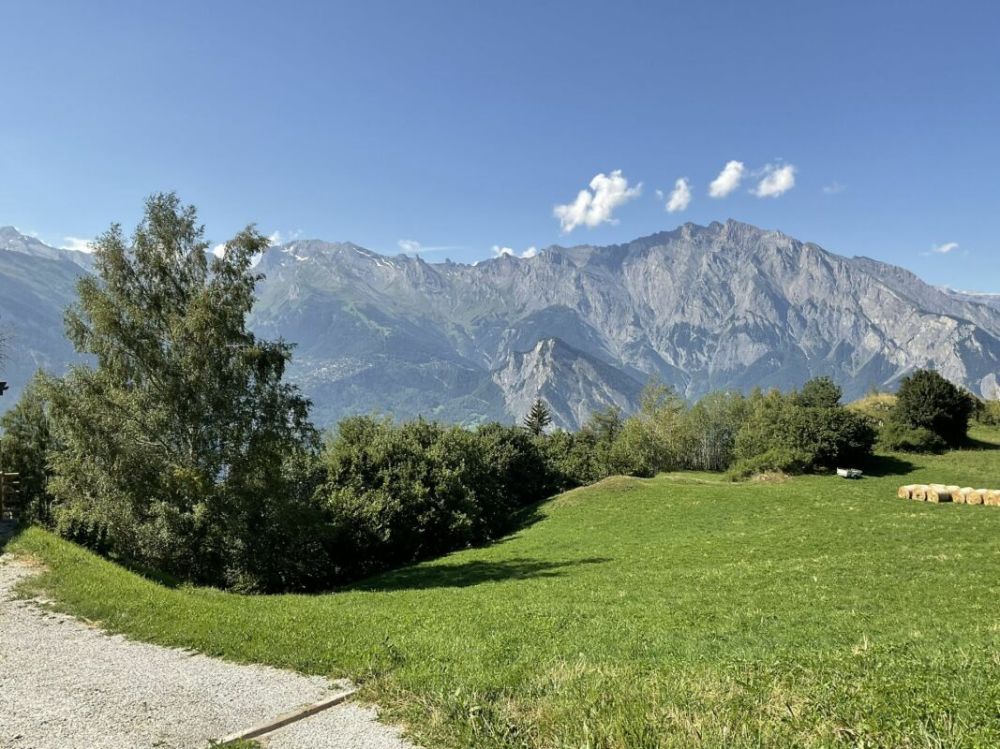 Chalets à vendre à la Tzoumaz au coeur du domaine des 4 Vallées - Bild 1