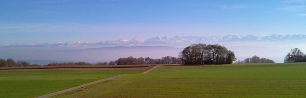 Duo de villas d'architecte à construire - Bild 5