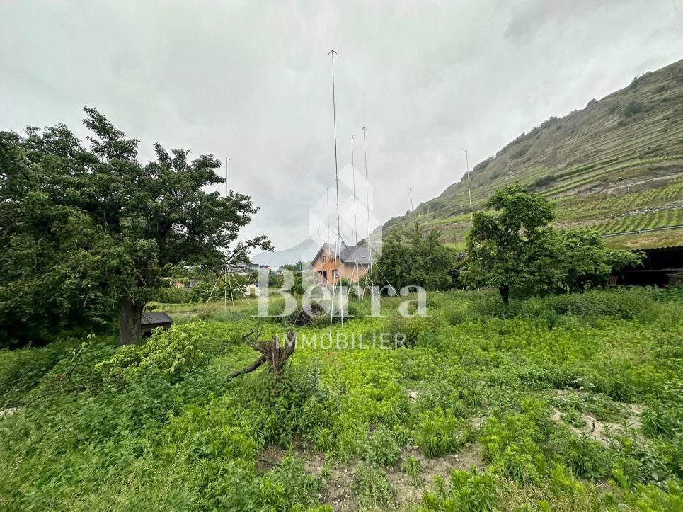 Portachon - Chateauneuf Sion - Bild 12