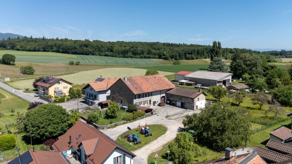 Appartement NEUF avec jardin privatif - DJI_20260522120429_0029_D.jpg