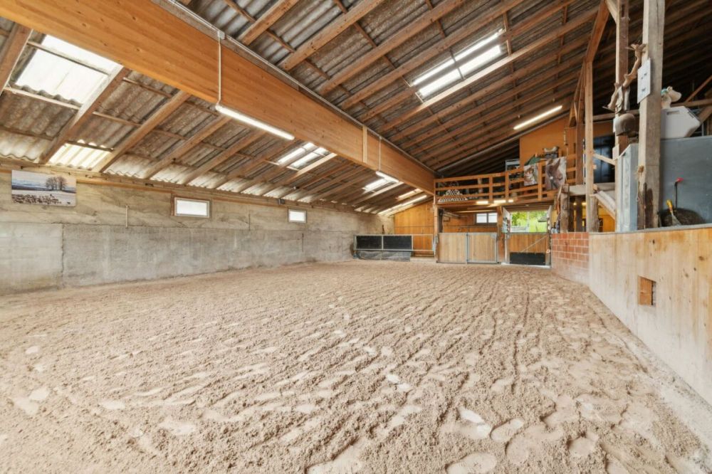 KERNSANIERTE REITSPORTIMMOBILIE MIT UNGEAHNTER PRIVATSPHÄRE -  Bild 3
