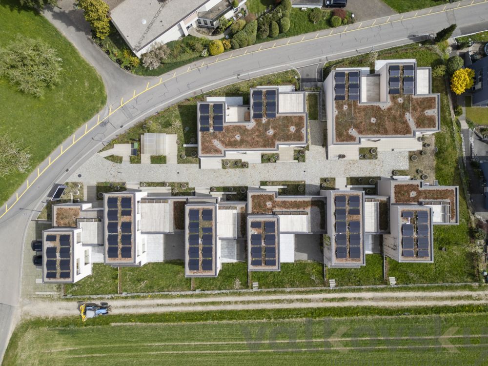 Top of Sins - Bild 7