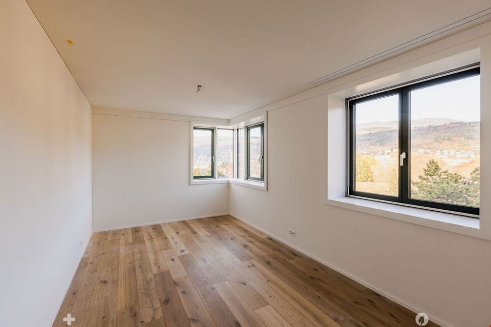 Einzigartige 5.5-Zimmerwohnung mit schönster Aussicht - Bild 5