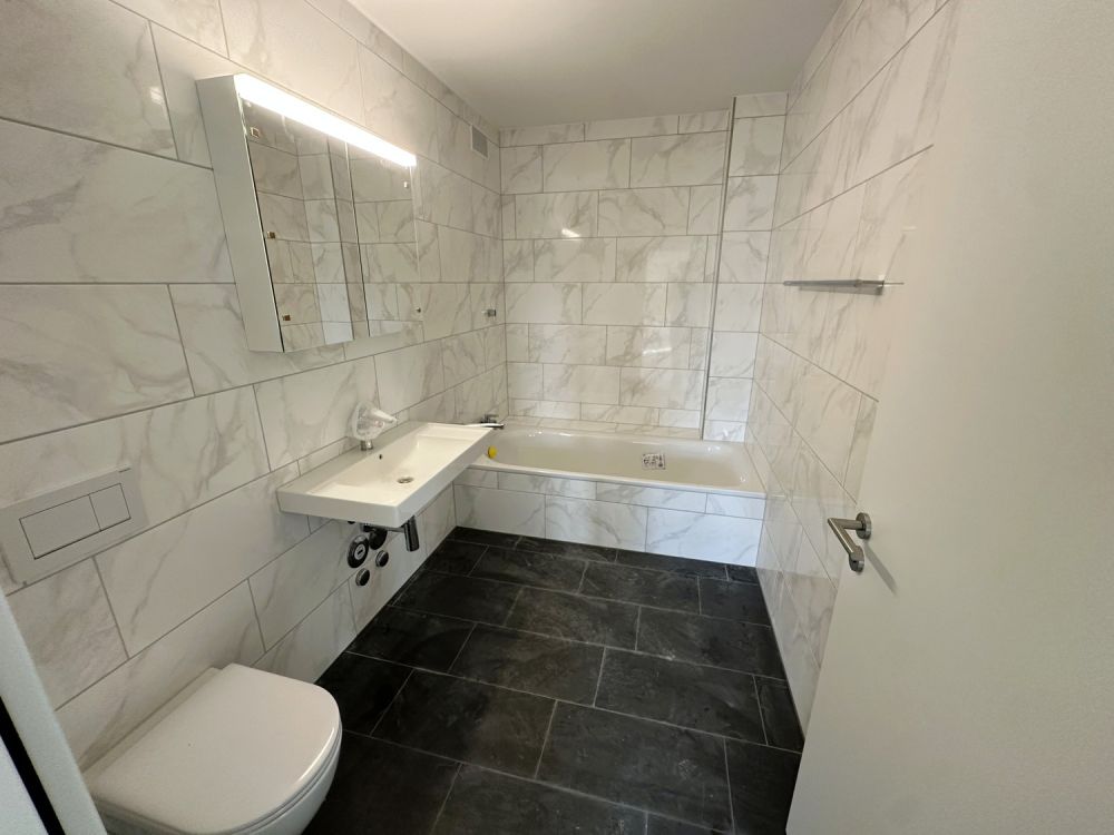 Wohnen mit Industrie-Chic in der ehemaligen Bschüssig - WC / Bad