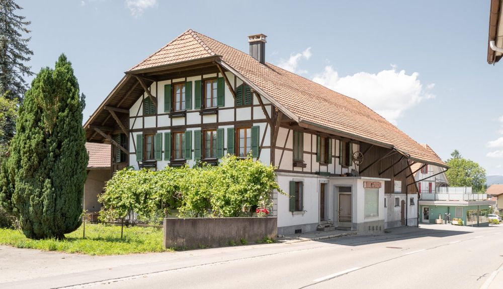 Dachwohnung 5,5-Zimmer mit Galerie - an Landwirtschaftszone angrenzend! - Bild 6