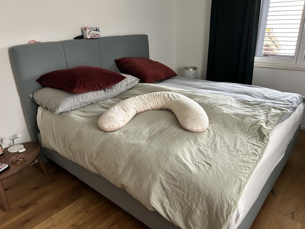 Exklusives, freistehendes Einfamilienhaus im Hochparterre mit grossem Garten in Brugg -  Bild 5