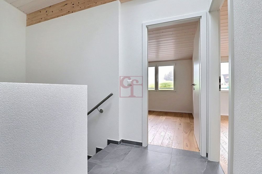 Villa individuelle et neuve à La Roche - Hall de distribution