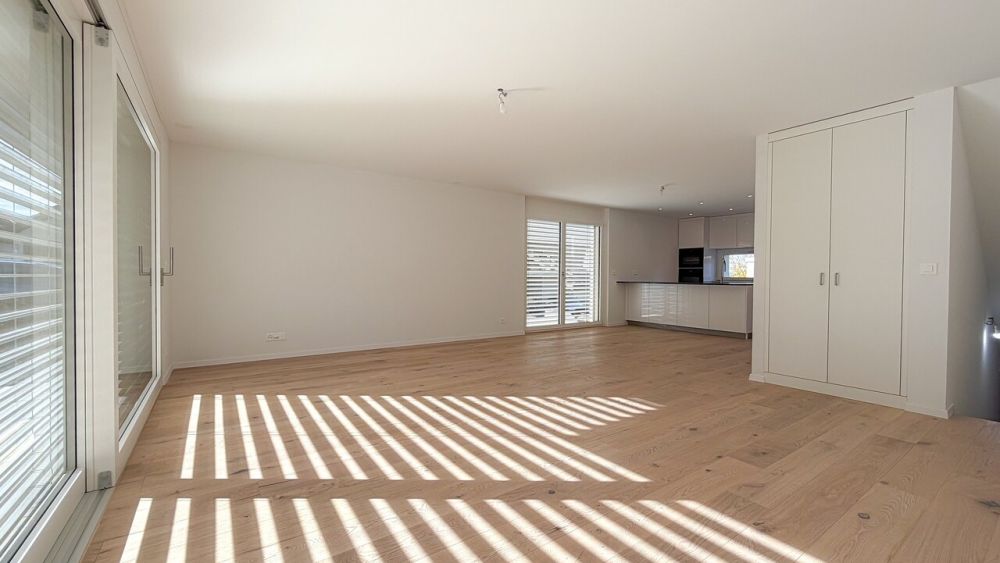 Villa neuve à deux pas du Lac de la Gruyère - Bild 1