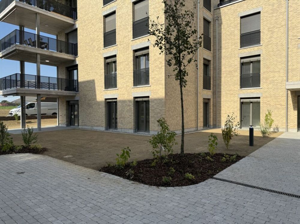 4.5-Zimmer-Erdgeschosswohnung mit grosszügigem Garten (D 0.5) -  Bild 9