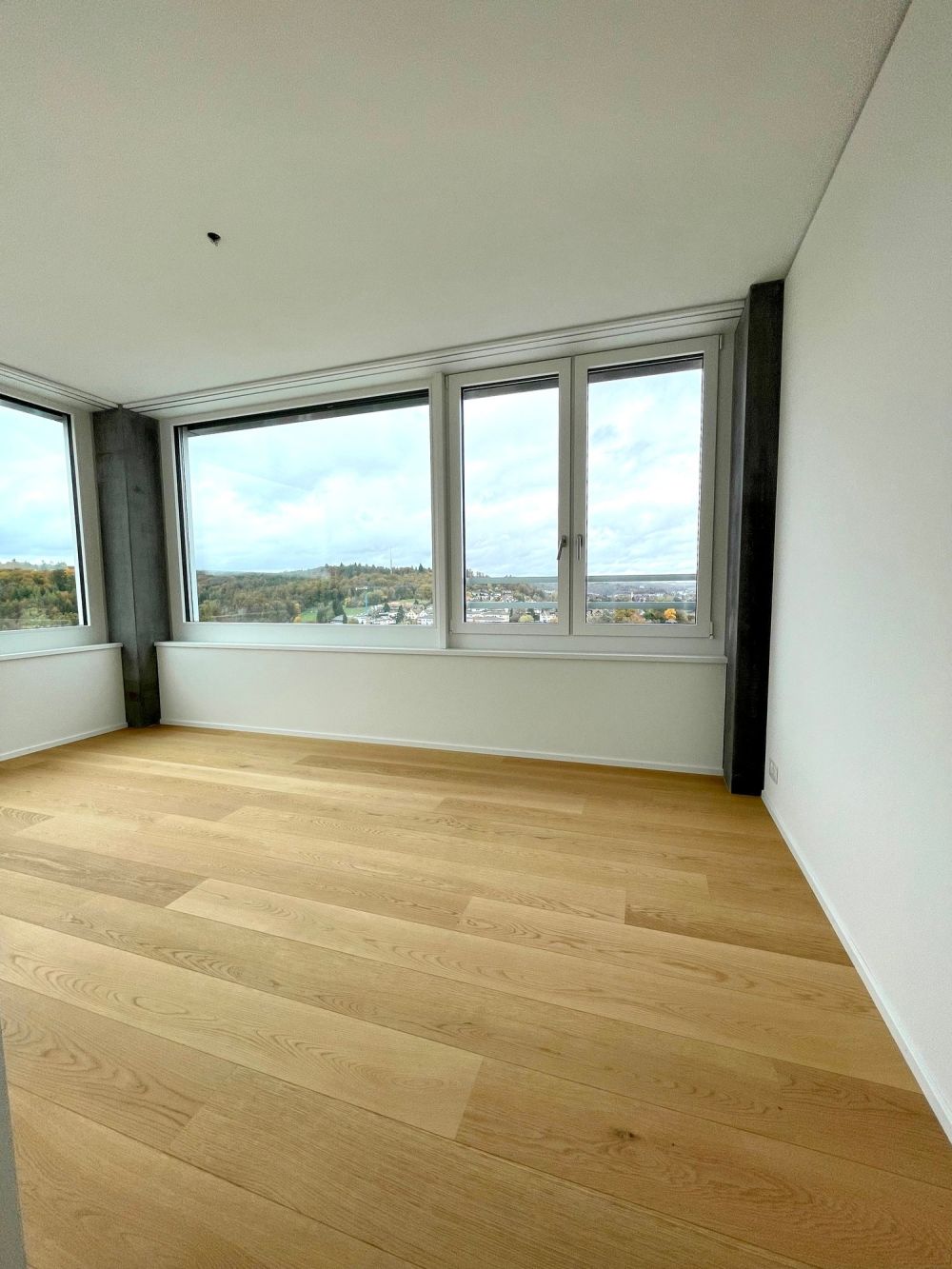 Rhyfall Tower | 5.5 Zimmer Wohnung in obersten Etagen mit Rheinfall Panorama -  Bild 8