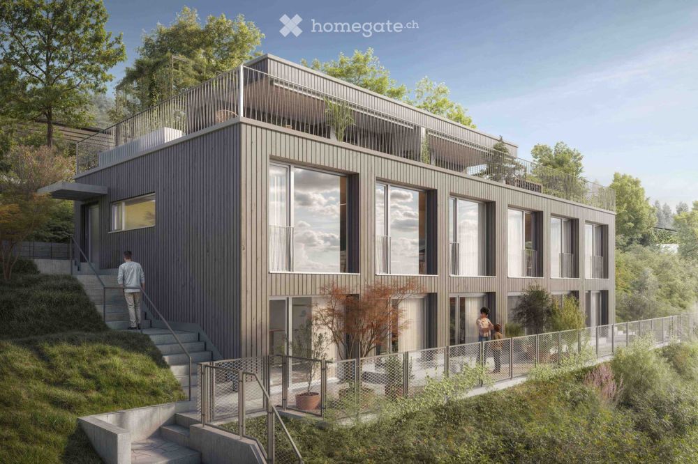 Neubau Doppeleinfamilienhaus in Langnau am Albis -  Bild 1