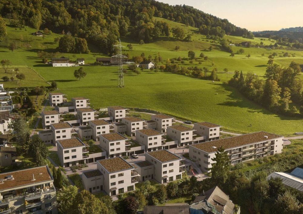 Roots 4.5 -  Bild 11