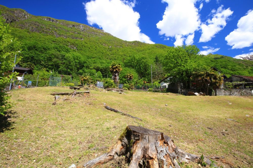 Luce, beton  e legno incastonati tra il verde e le montagne Valmaggesi - Bild 3