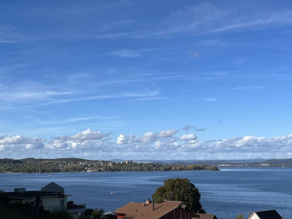 DEFH A + B - Exklusives Baugrundstück am Untersee mit erstklassigem Wo - Der freie Blick über den Untersee zur malerischen Halbinsel Höri