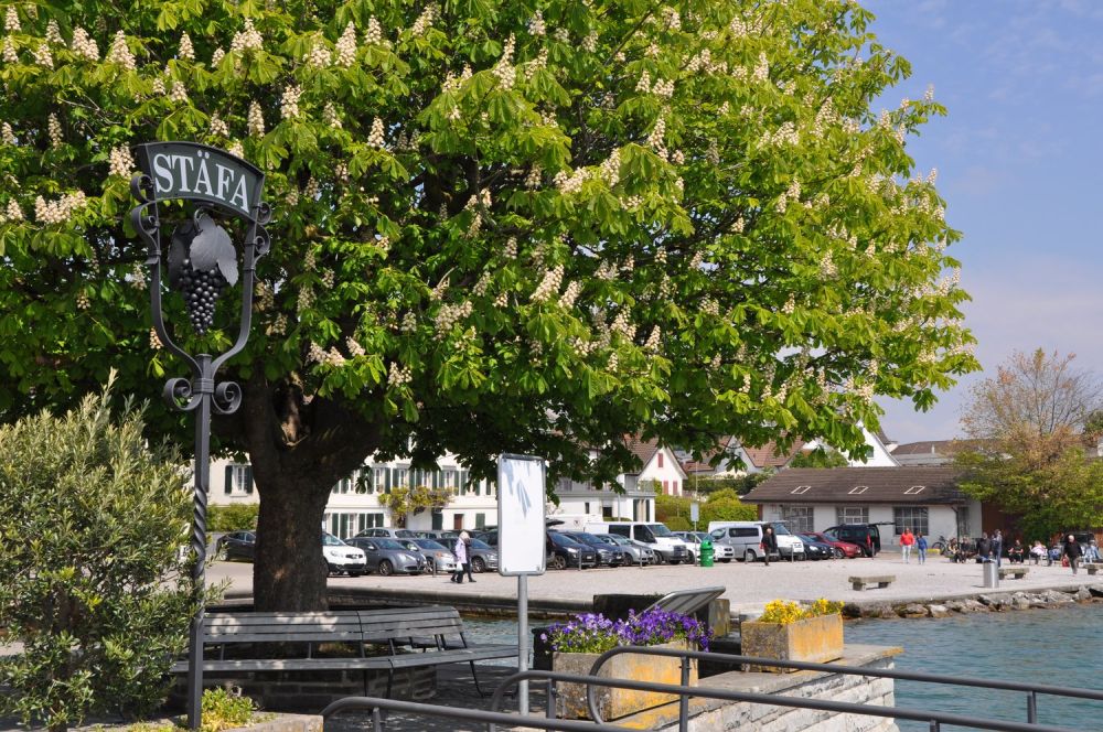 Grosszügige 5.5-Zimmer Gartenwohnung, 176m2 WF, an naturnaher Lage mit teilweiser Seesicht -  Bild 10