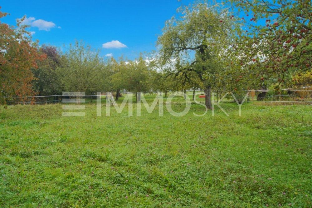 Neubau mit moderner Handschrift - Aktuell eine grüne Wiese