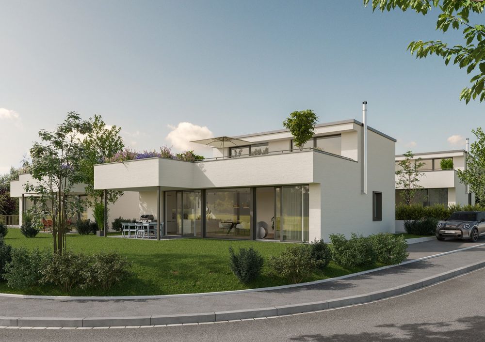NEUBAU: Modernes freistehendes EFH mit Tiefgarage in Möhlin -  Bild 1