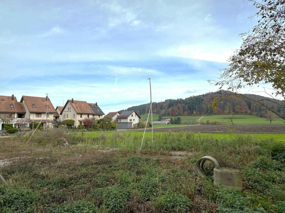 Weitsicht & Idylle- modernes Doppelfamilienhaus in Bichelsee - Bild 6