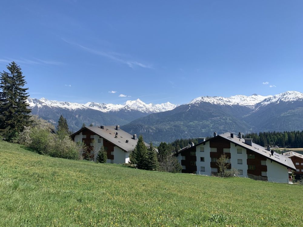 Lot B-31 - 4,5 Zimmer geräumig und hell -  Bild 7