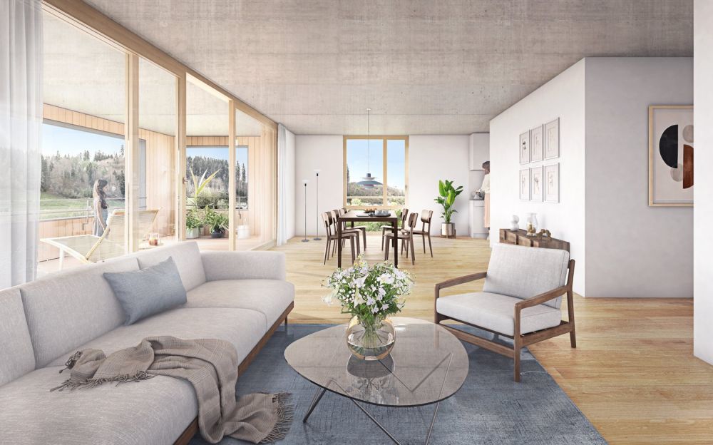 www.hasel-ufer.ch   Wohnung C21 -  Bild 1