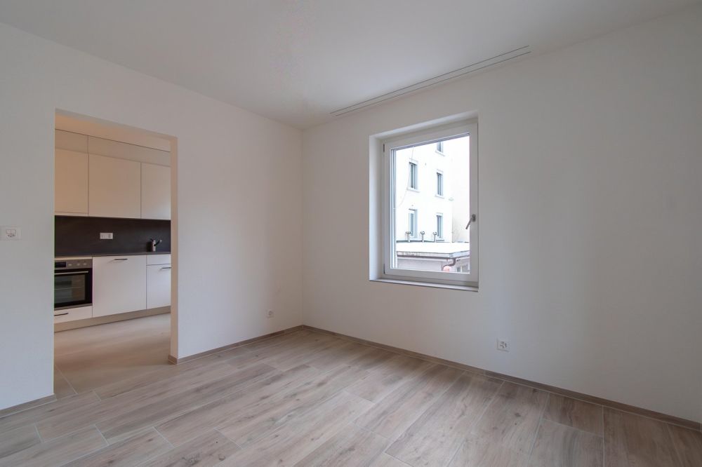 Erstvermietung gemütliche 1.5 Zimmer-Wohnung -  Bild 5