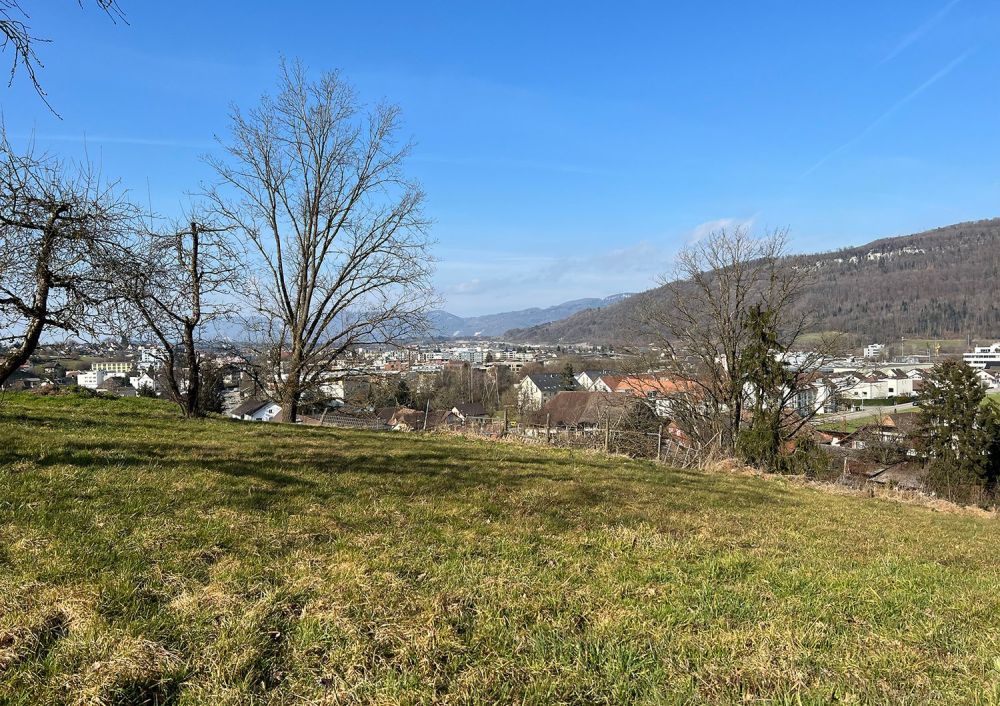 Einfamilienhaus mit Projekt in Rothrist -  Bild 2