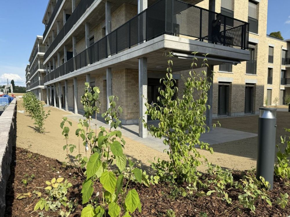 4.5-Zimmer-Erdgeschosswohnung mit grosszügigem Garten (D 0.5) -  Bild 1