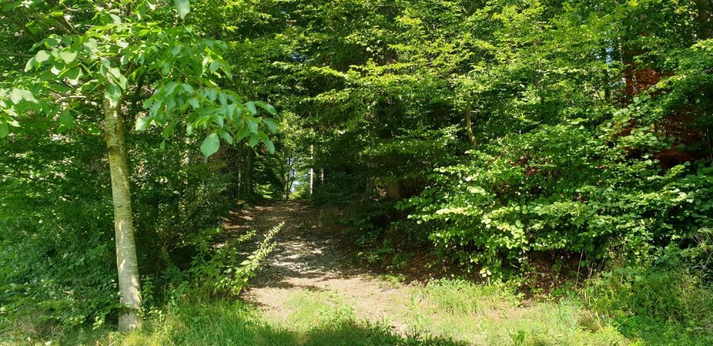 Modernes Einfamilienhaus mit Panoramablick in Uerkheim -  Bild 3