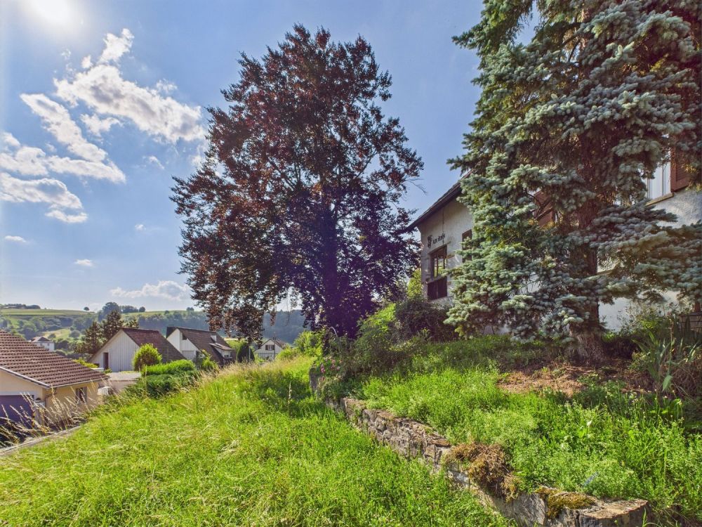 Bebautes Grundstück in Wölflinswil - Image 9