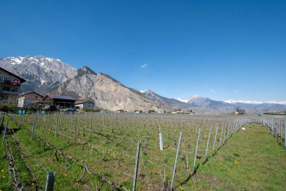 Maison contemporaine de 4.5 pièces - St-Pierre-de-Clages -  Bild 1