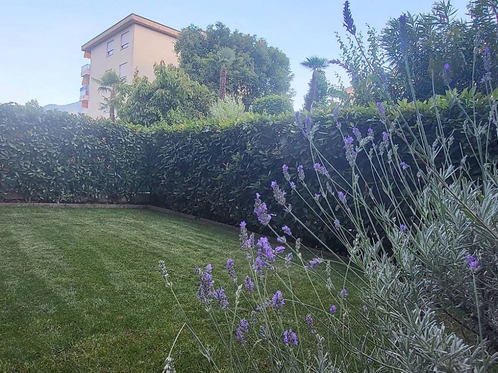 TENERO 4,5 ZIMMER MIT PRIVATGARTEN UND WINTERGARTEN -  Bild 1