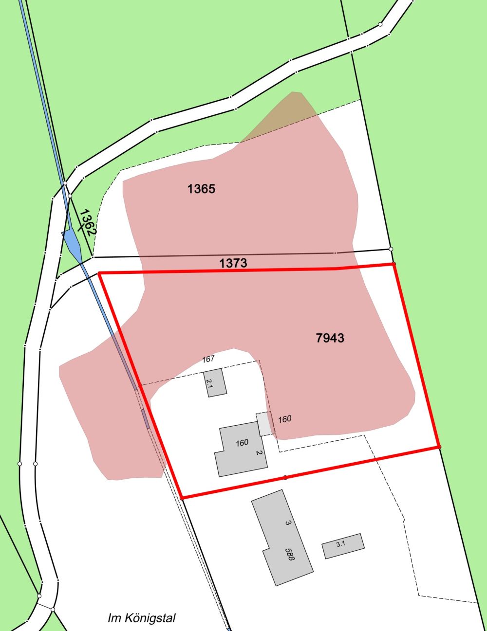 NATURJUWEL: 2'136m² Wiese, mit 1 bewilligtem Haus, 100% autark, Natur pur Waldlichtung -  Bild 8