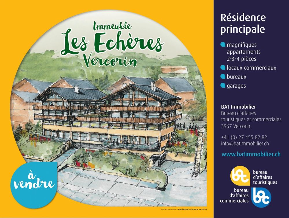 Vercorin - Echères 202 - duplex 4.5 pièces traversant - Croquis Façades sud et nord_ Von Moos-1