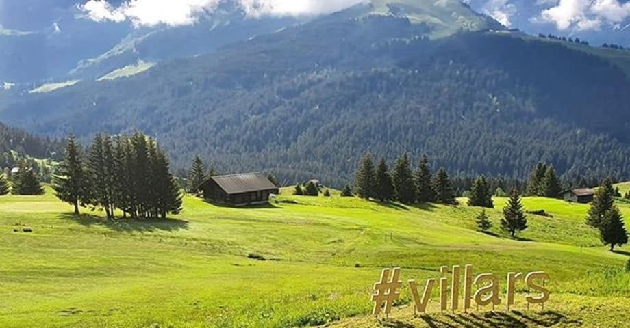 Wohnungen mit 3,5 Zimmern in einer neuen Residenz in Gryon -  Bild 4