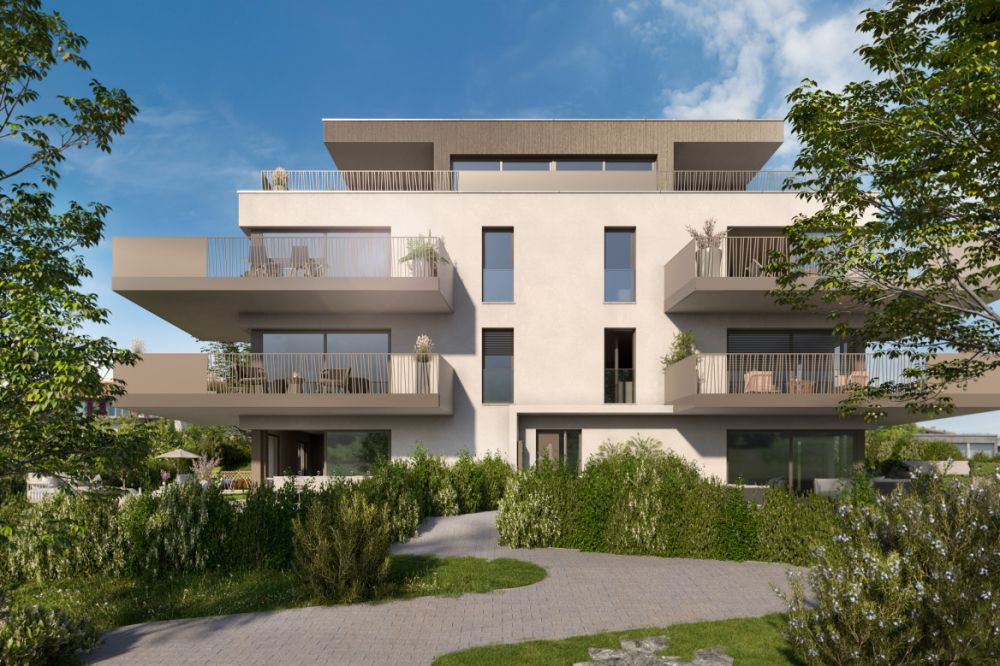 DERNIER LOT EN VENTE - Bild 1