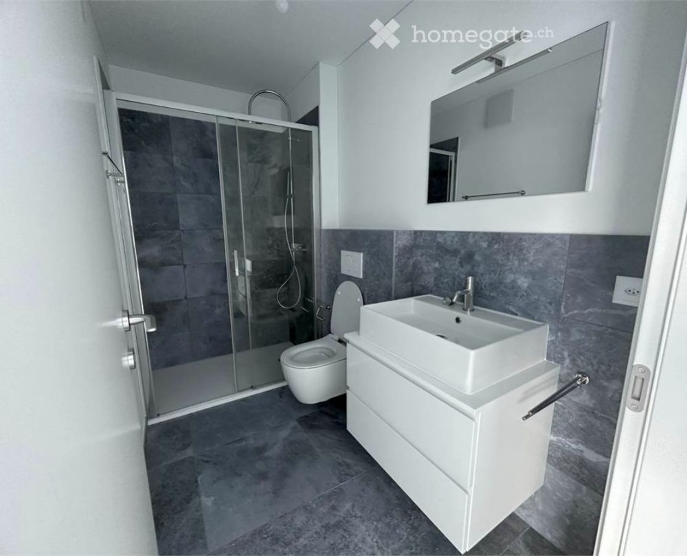 Moderno appartamento di 2.5 locali con reddito locativo stabile a Massagno, Lugano - Bild 5