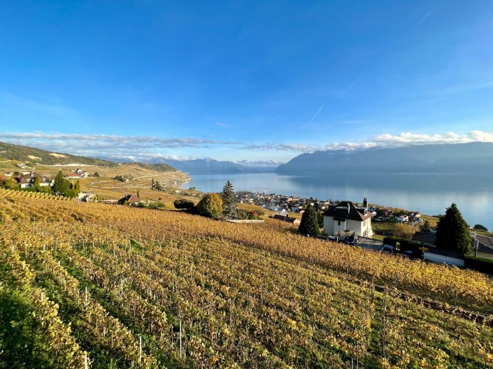 Grandvaux : Appartement d'exception bénéficiant d'une vue panoramique -  Bild 1