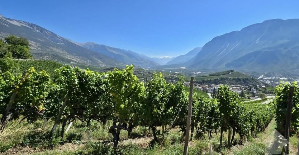 Promotion de 2 villas mitoyennes de 4.5 pces au calme, vue panoramique - Immeuble résidentiel 9 pièces - image - 5
